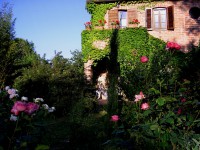 /album/galleria-fotografica/giardino-betta-e-paola-006-jpg1/
